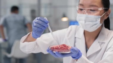 Asyalı kadın bilim adamının tüp bebek et numunelerine sıvı dağıttığı yavaş çekim. Parlak modern laboratuvarda damlatıcıyla birlikte.