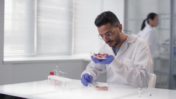 Slow Motion Médio Tiro Concentrada Jovem Cientista Oriente Médio Inspecionando — Vídeo de Stock