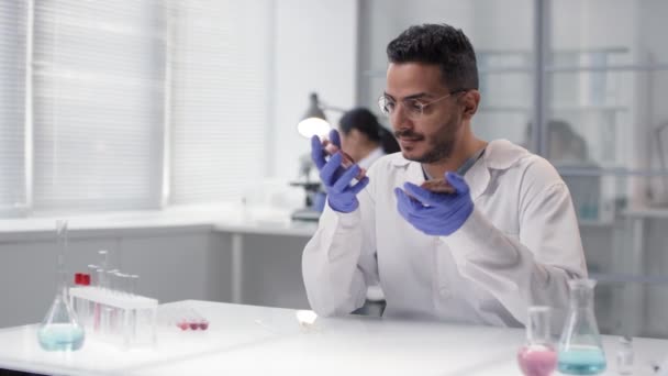 Medium Slowmo Portrait Young Middle Eastern Scientist Examining Cultured Regular — Stock Video