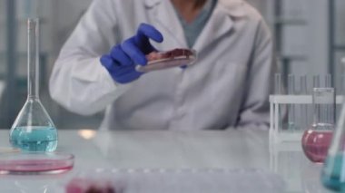 Tanınmayan bilim adamının orta bölüm görüntüleri laboratuvar masasında, içinde kimyasal sıvılar bulunan bir kap dolusu et ve beher ile oturuyor.