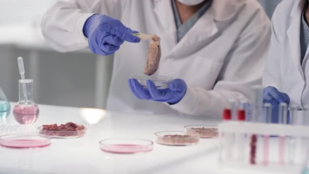 Midsectie Slowmo Shot Van Een Paar Onherkenbare Microbiologie Wetenschappers Die — Stockvideo