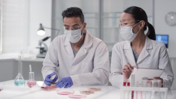 Retrato Cámara Lenta Diversos Microbiólogos Máscaras Que Examinan Muestras Carne — Vídeo de stock