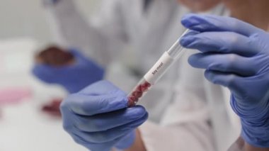 Laboratuvarda yapılan araştırma sırasında şeffaf laboratuvar deney tüpünü soya eti numunesiyle kapatın.