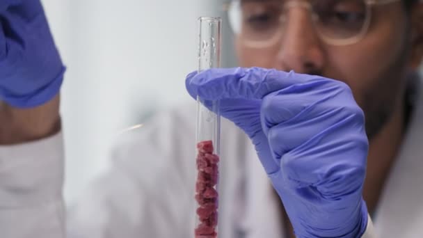 미생물학자가 튜브에서 고기를 검사하고 약간의 액체를 안으로 보내고 과정을 관찰하고 — 비디오