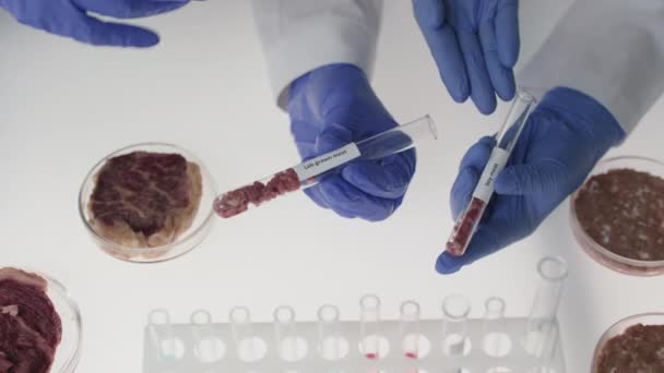 Imagens Topo Microbiologistas Irreconhecíveis Segurando Tubos Ensaio Com Amostras Carne — Vídeo de Stock