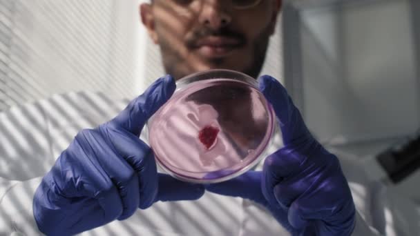 Close Câmera Lenta Pesquisador Microbiologia Masculina Segurando Prato Plástico Com — Vídeo de Stock