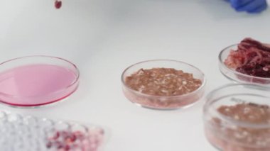 Tanımlanamayan bir bilim adamının yavaş çekimde küçük bir parça laboratuvar ürünü eti analiz için pembe sıvıyla petri kabına koyması.