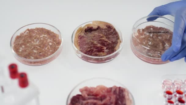 Van Bovenaf Slow Close Van Onherkenbare Microbioloog Die Plastic Petrischaaltjes — Stockvideo