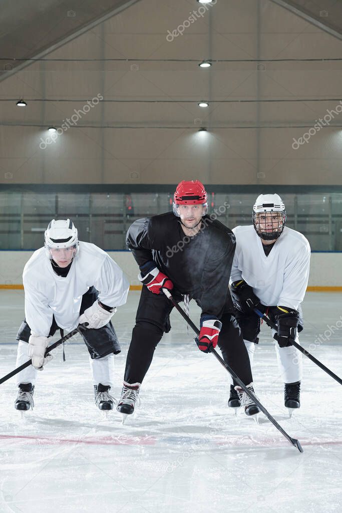 Three contemporary hockey players in sports uniform, gloves, skates and protective helmets bending forwards while training on ice rink before play