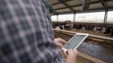 Elinde tablet olan tanınmayan bir adamın yavaş yavaş takibi ve onlar mandıranın içinde ineklerle beslenme alanına bakarken neşeli ergen çocuğa grafikler gösterilmesi.