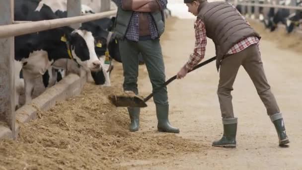 Naklonit Záběr Veselý Středního Věku Otec Šedivými Vlasy Vousy Smích — Stock video