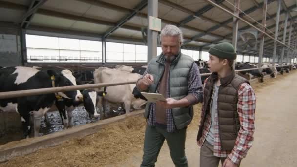 Langzaam Volgen Shot Van Middelbare Leeftijd Vader Met Grijs Haar — Stockvideo