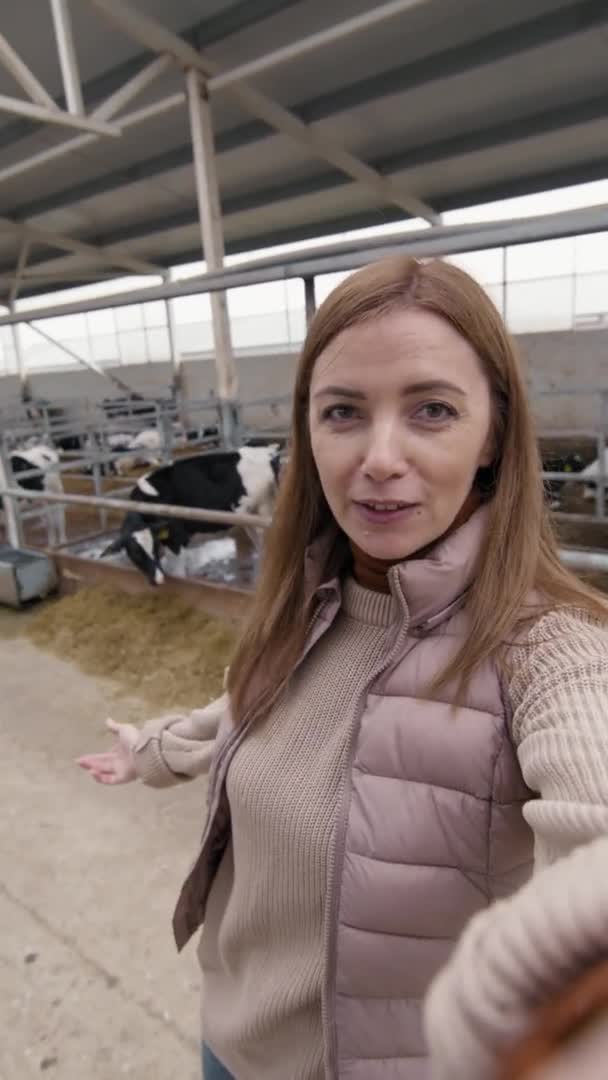 Pionowe Zdjęcie Kobiety Rozmawiającej Kamerą Pokazującej Farmę Mleczną Krowy Paszach — Wideo stockowe