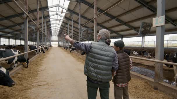 酪農施設内で一緒に立っている中年の男と十代の男の子の後ろのビューショットを追跡し フィードバックに立っている牛を見て — ストック動画