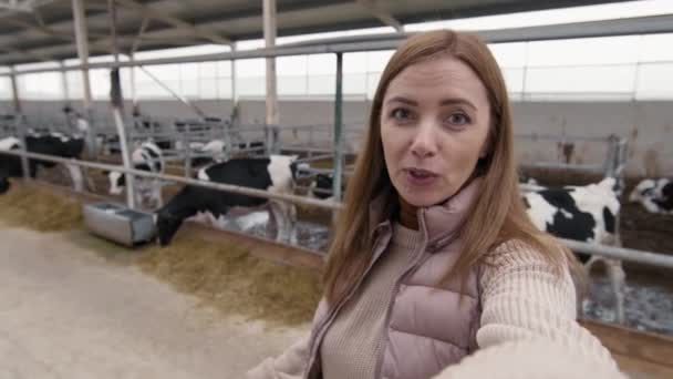Poręczne Zdjęcie Kobiety Nagrywającej Się Rozmawiającej Kamerą Farmie Mleczarskiej Stado — Wideo stockowe