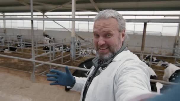 Знімок Ветеринара Середнього Віку Лабораторному Пальто Рукавички Які Розмовляють Камерою — стокове відео