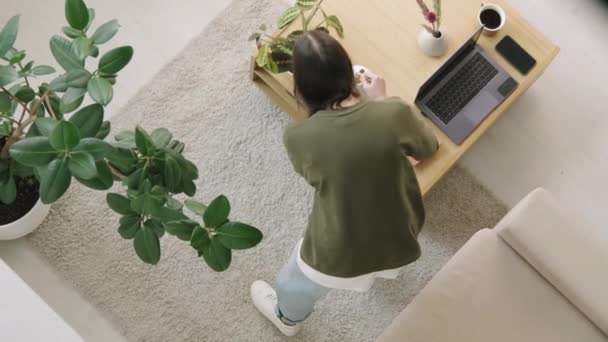 彼女のアパートで若い女性の散水観葉植物 — ストック動画