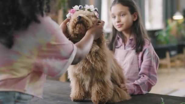 Ruční Záběr Veselých Dívek Dávat Roztomilé Čelenku Rozkošný Maltipoo Pes — Stock video