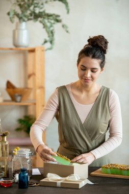 Genç bir kadın, tatil öncesi arkadaşlarına hediyeler hazırlarken taze el yapımı doğal sabunu karton hediye kutusuna koyuyor.