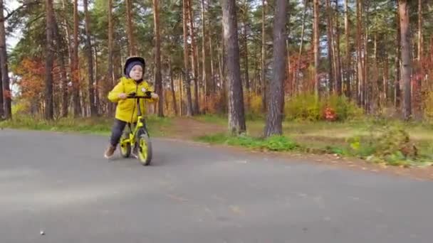 一名身穿黄色夹克 头戴安全帽 骑自行车在公园小径上的可爱5岁男孩的追踪镜头 — 图库视频影像