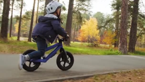 日当たりの良い秋の日に公園のアスファルトのパスに沿ってバランスの取れた自転車でヘルメットレースで5歳の子供の遅い追跡ショット — ストック動画