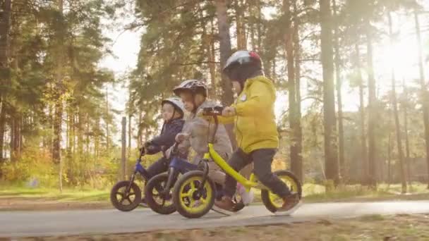 秋季阳光灿烂的一天 三个戴着头盔的可爱孩子骑着平衡自行车在公园里赛跑的追踪镜头 — 图库视频影像