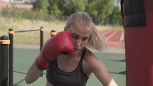 Medium Skott Koncentrerad Kvinnliga Boxare Boxning Boxningssäck Utomhus Sedan Tittar — Stockvideo