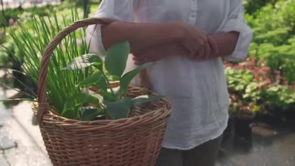 Midsection Lentidão Jardineiro Feminino Irreconhecível Camisa Branca Andando Longo Jardim — Vídeo de Stock