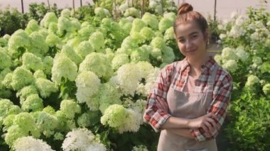 Gülümseyen genç kadın bahçıvanın orta boy PAN portresi. Güneşli bir günde kameraya bakarak elleri katlanmış güzel beyaz sümbül çiçeklerinin arasında.