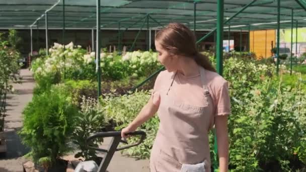 夏の庭に沿って車の中でポット植物を運ぶ若い女性庭師のスローモで撮影した中期の傾き — ストック動画