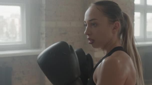 Slow Motion Medium Detailní Záběr Koncentrované Fit Dívka Cvičit Boxerské — Stock video