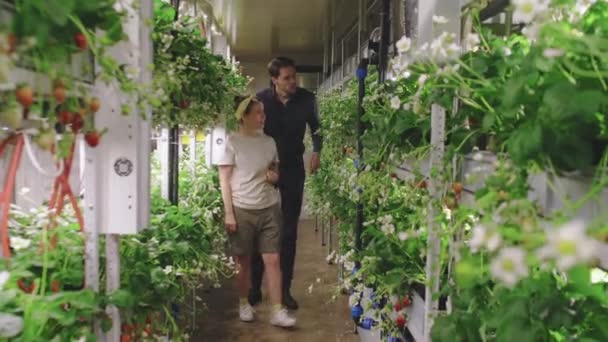 Dollying Out Full Shot Man Visiting Greenhouse Female Nursery Worker — Vídeos de Stock