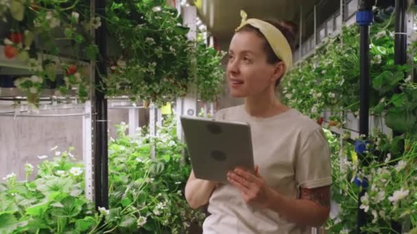 在数码平板电脑上记录温室里生长的草莓果 花和叶子时 年轻的女工正在检查这些草莓果 花和叶子 — 图库视频影像