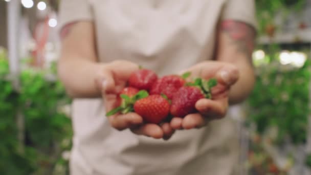 Kruispunt Close Van Onherkenbare Vrouw Tonen Verse Biologische Aardbeien Gehouden — Stockvideo