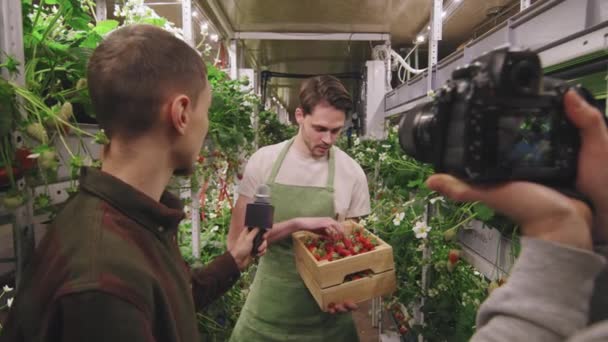 身着绿色围裙的男婴拿着一盒成熟的有机草莓进行采访 一边谈论温室里生长的水果 一边拿着相机录音 — 图库视频影像