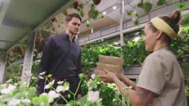 Serada yetişen taze organik çilek alan yakışıklı bir adamın düşük açılı orta açı çekimi. Kadın kreş çalışanı alıcıya çilek konteynırları veriyor.