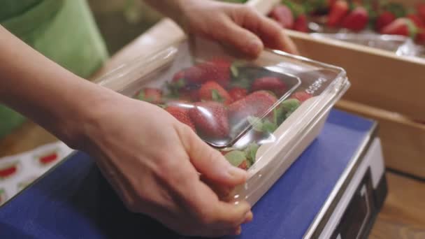 Hochwinkel Nahaufnahme Einer Unkenntlichen Kindergärtnerin Die Frische Erdbeeren Aus Dem — Stockvideo