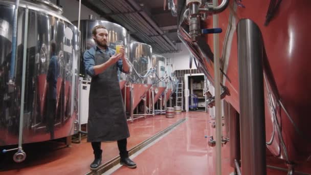 工場で生産されたばかりの生ビールのグラスを持ち 品質をチェックするプロの醸造労働者のスローモーションフルPanショット — ストック動画