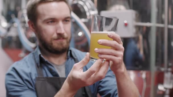 Fecho Médio Câmera Lenta Trabalhador Cervejaria Profissional Olhando Para Vidro — Vídeo de Stock