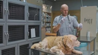 Profesyonel erkek veteriner şırıngasını aşıyla doldurup veteriner kliniğinde muayene masasında yatan Golden Retriever köpeğine iğne yapıyor.