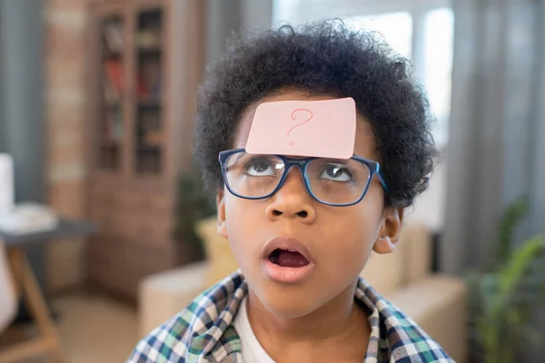 Netter Und Lustiger Mischlingsjunge Freizeitkleidung Und Brille Der Häuslichen Umfeld — Stockfoto