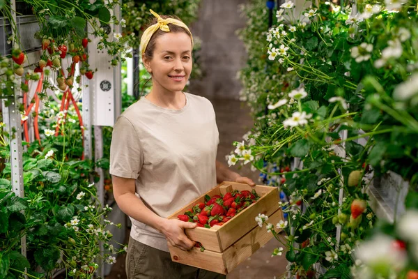 Gelukkige Jonge Vrouwelijke Werknemer Van Verticale Boerderij Met Houten Doos — Stockfoto