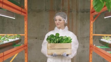Yavaş çekimde, koruyucu iş kıyafetleri içindeki genç ve gülümseyen kadın tarım mühendisinin dikey çiftlikte yürüdüğü büyük tahta kutu dolusu ıspanak tohumu taşıdığı bir fotoğraf.
