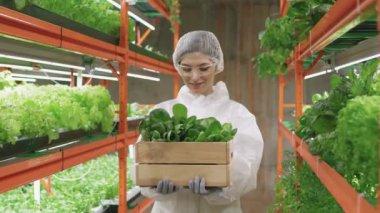 Çağdaş dikey çiftlikteki rafların arasında duran başarılı kadın tarım mühendisinin orta boy portresi elinde kameraya gülümseyen ıspanak fidanlarıyla dolu ahşap bir kutu tutuyor.