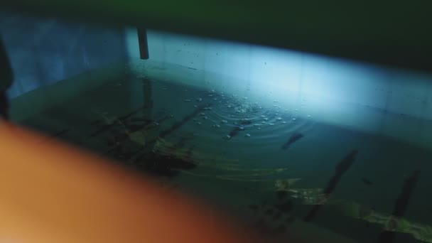 Vízrendszer Belsejében Kortárs Függőleges Farm Növénytermesztésre Használt Víz Amely Csővezetéken — Stock videók