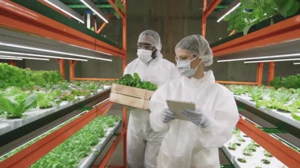 Slow Motion Médio Tiro Jovem Agroengenheiro Trabalhando Tablet Digital Enquanto — Vídeo de Stock