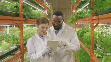Çok ırklı genç botanikçilerin araştırmalarını tartıştıktan sonra dijital tabletle dikey büyük çiftlikte kameraya gülümseyen orta ölçekli portresi.