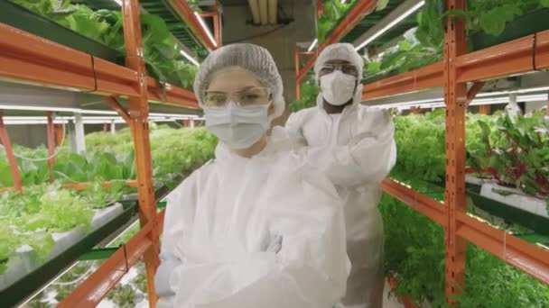 Retrato Medio Diversos Pares Ingenieros Agronómicos Profesionales Batas Protectoras Gorras — Vídeo de stock