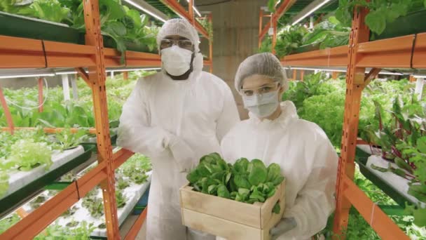 Retrato Medio Planta Vertical Caucásica Afroamericana Pareja Trabajadores Ropa Protectora — Vídeo de stock