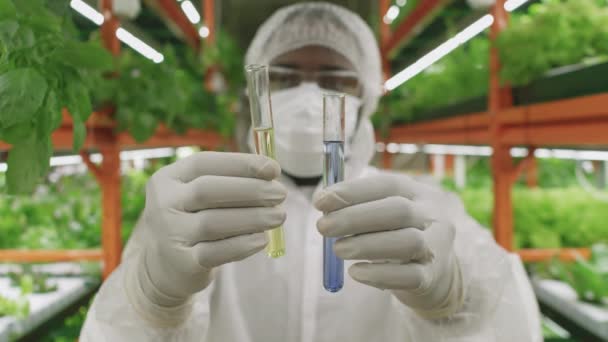 Primer Plano Del Ingeniero Agronómico Investigador Masculino Sosteniendo Dos Tubos — Vídeo de stock